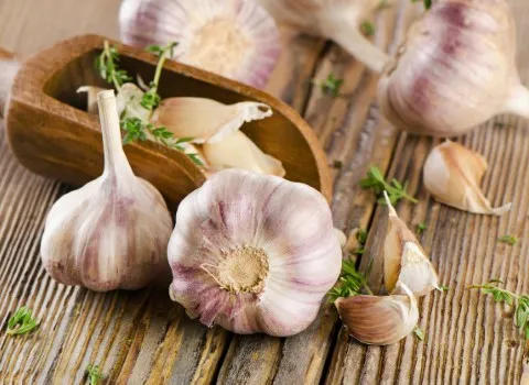تصویر 1 از قیمت خرید سیر حبه‌ ای با فروش عمده